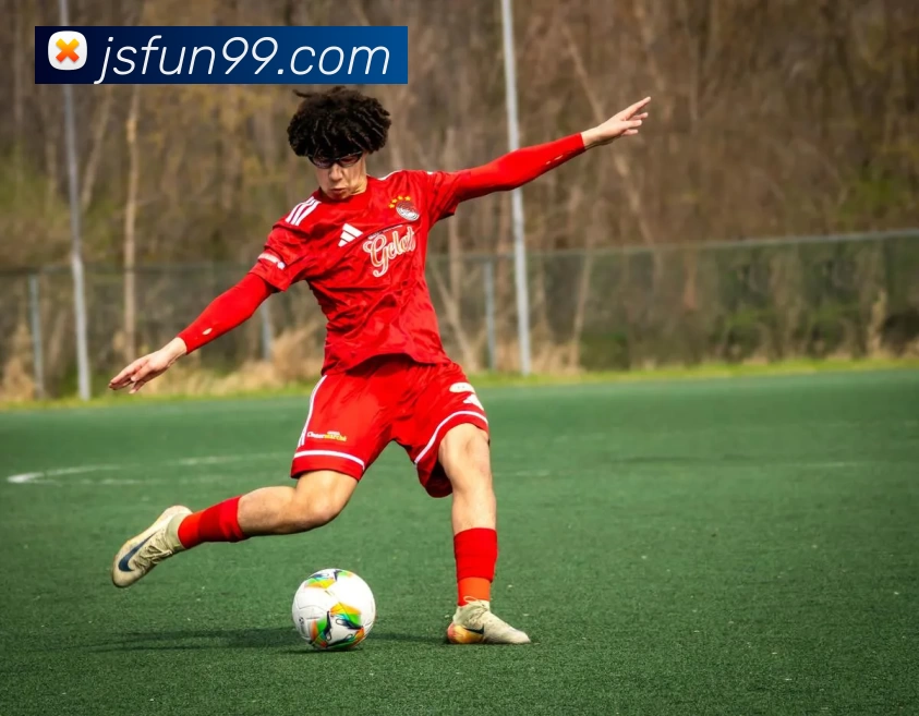 金沙真人官网发展历程